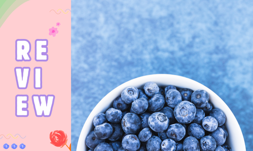 Review duniamasak.com